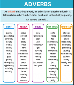materi verb and adverbs