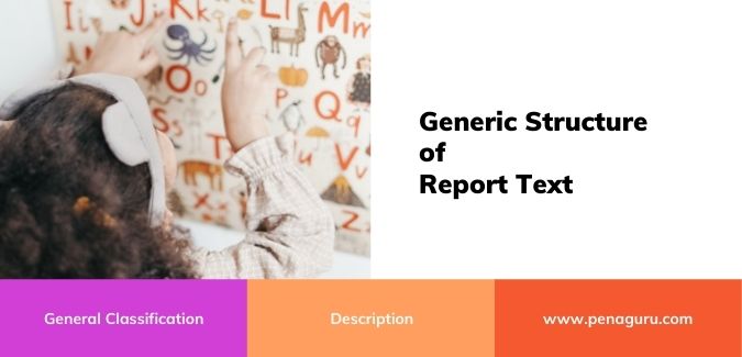 contoh report text tentang kupu kupu contoh report text tentang kupu kupu