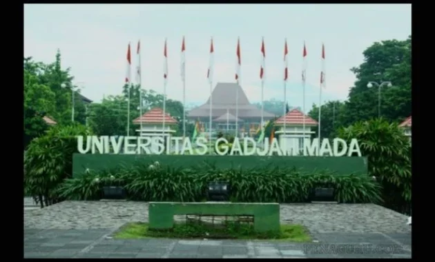 Universitas yang ada jurusan sistem informasi