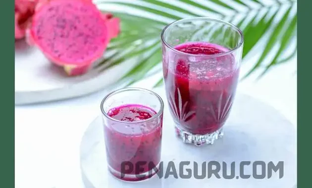 teks prosedur cara membuat jus buah naga teks prosedur cara membuat jus buah naga