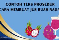 teks prosedur cara membuat jus buah naga