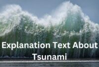 explanation text about tsunami