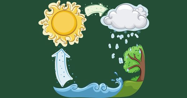 Explanation text about water cycle