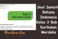 Soal Sumatif Bahasa Indonesia Kelas 3 Bab 5 Kurikulum Merdeka