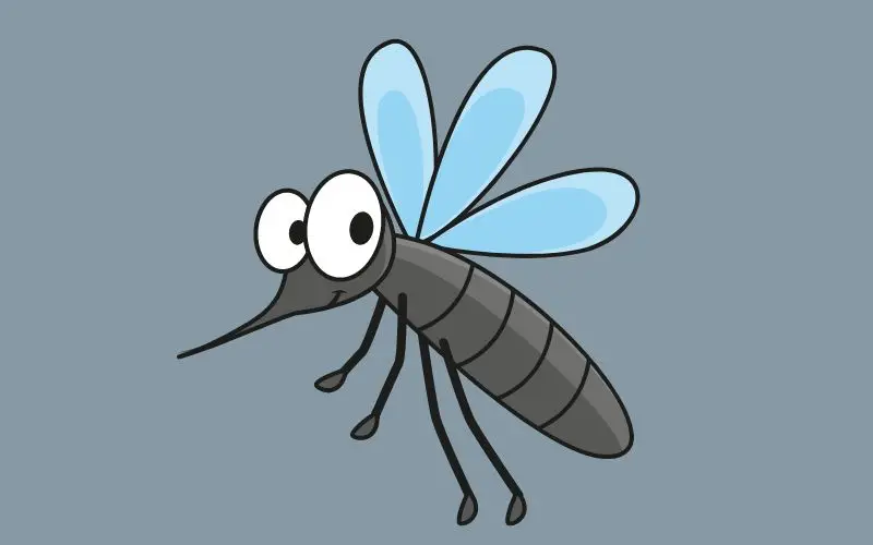 Contoh Report Text Singkat tentang Nyamuk